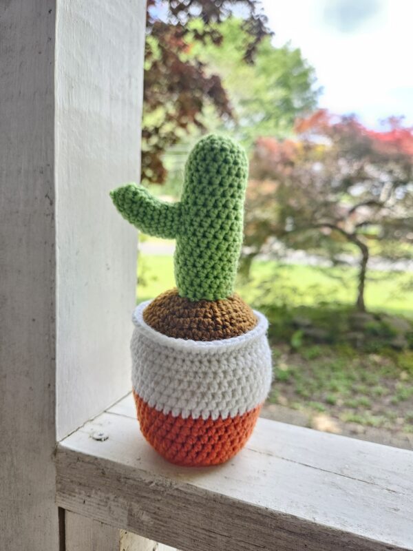 House Plants - Image 7