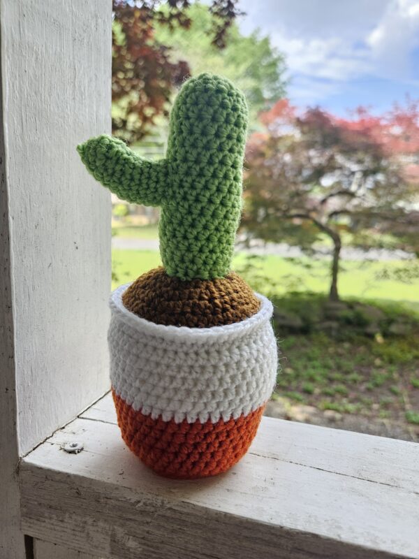 House Plants - Image 6