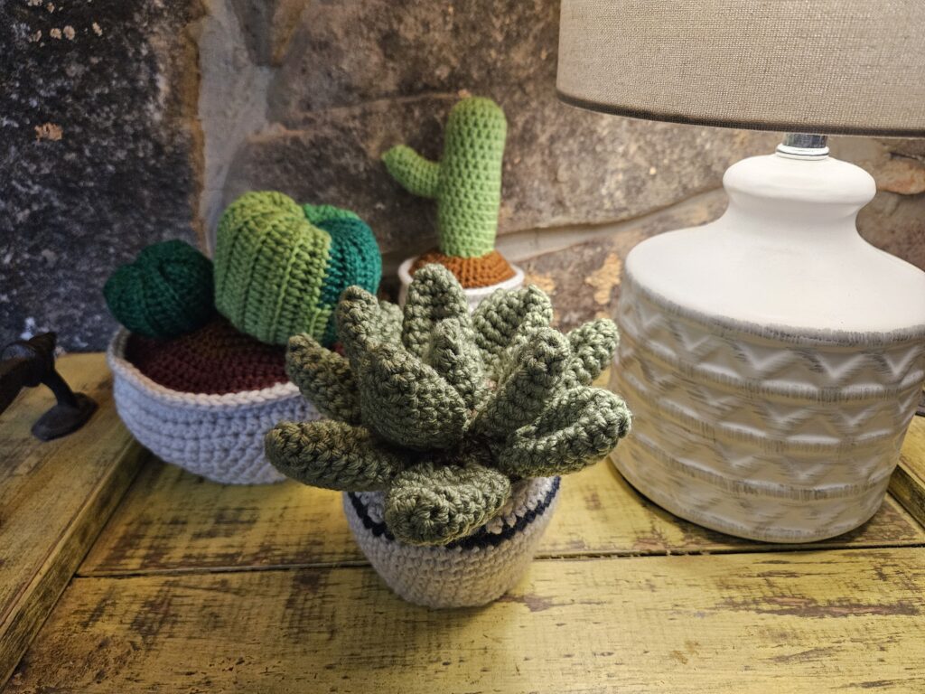 House Plants