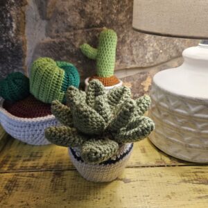 House Plants
