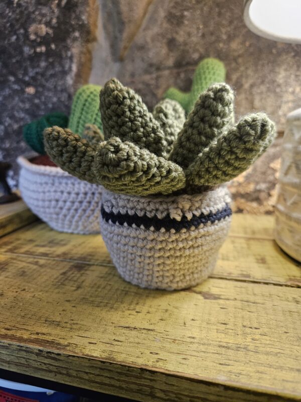 House Plants - Image 5