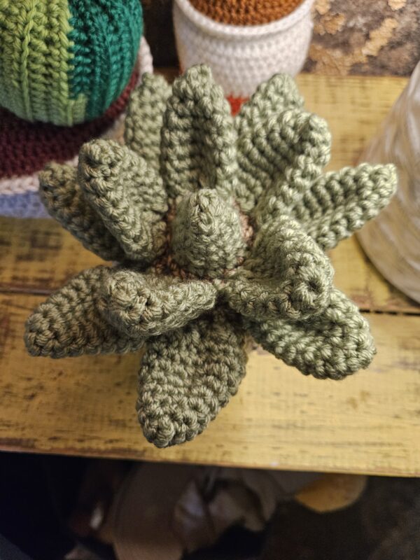 House Plants - Image 4