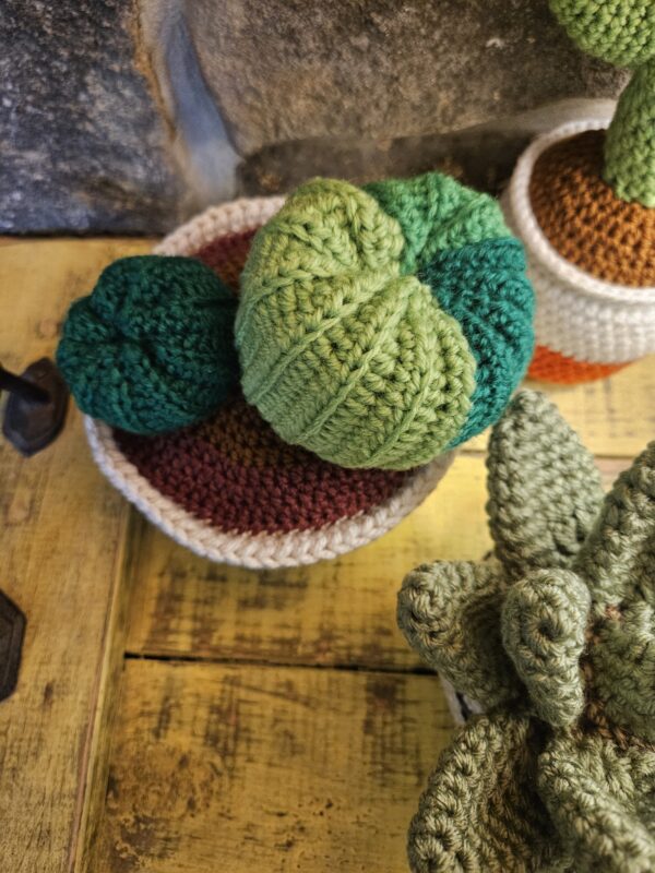 House Plants - Image 3