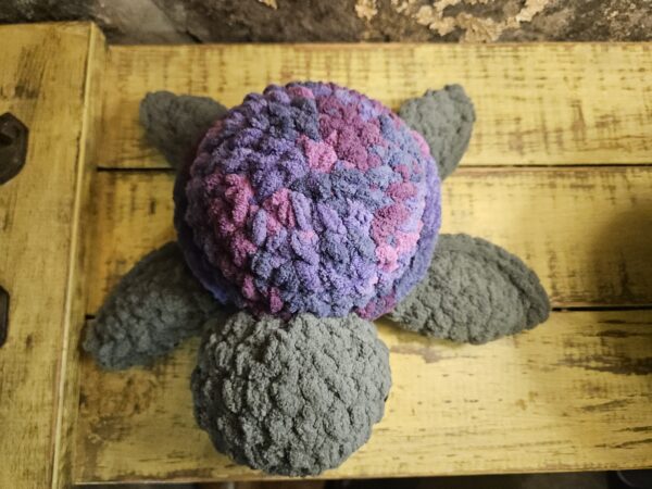 Shelton the Baby Sea Turtle - Image 4