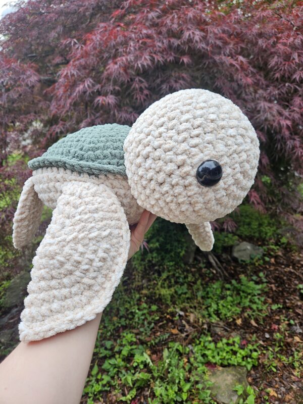 Shelton the Jumbo Sea Turtle