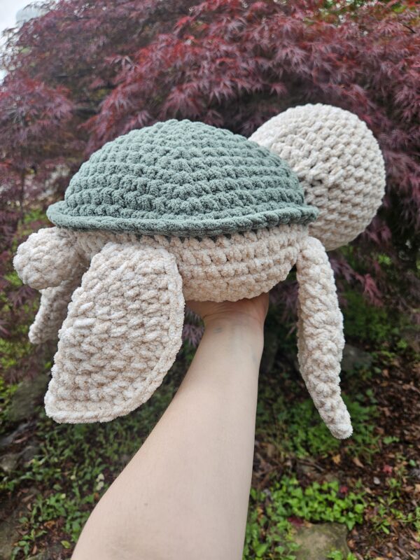 Shelton the Jumbo Sea Turtle - Image 3