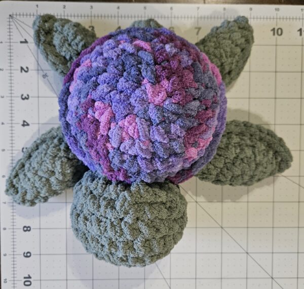 Shelton the Baby Sea Turtle - Image 6